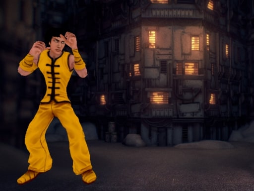 Misionářský bojovník